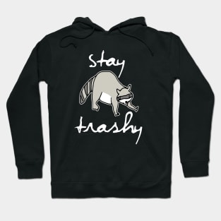 Stay Trashy, Raccoon, Trash Panda Hoodie